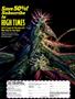 Page: - 43 | High Times