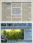 Page: - 44 | High Times