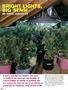 Page: - 56 | High Times