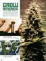 Page: - 80 | High Times