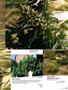 Page: - 81 | High Times