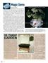 Page: - 82 | High Times