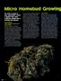 Page: - 84 | High Times