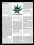Page: - 92 | High Times