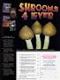 Page: - 101 | High Times