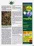Page: - 103 | High Times