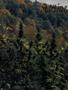 Page: - 56 | High Times
