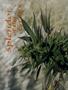 Page: - 58 | High Times