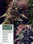 Page: - 86 | High Times