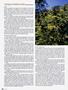 Page: - 94 | High Times