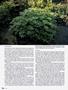 Page: - 96 | High Times