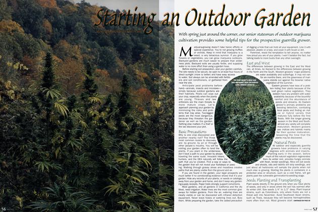Starting an Outdoor Garden