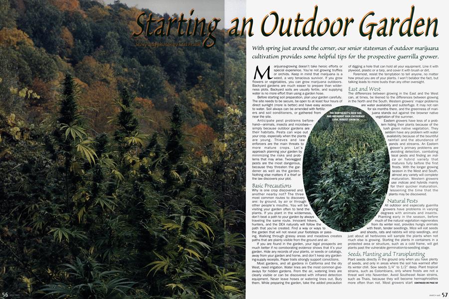 Starting an Outdoor Garden