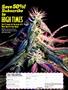 Page: - 43 | High Times