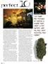 Page: - 52 | High Times