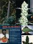Page: - 89 | High Times