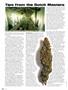 Page: - 94 | High Times