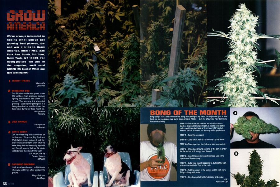 BONG OF THE MONTH