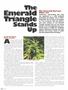 Page: - 44 | High Times