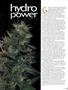 Page: - 53 | High Times