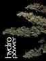 Page: - 54 | High Times