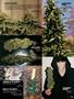 Page: - 81 | High Times
