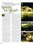 Page: - 84 | High Times