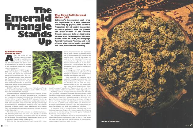 The Emerald Triangle Stands Up