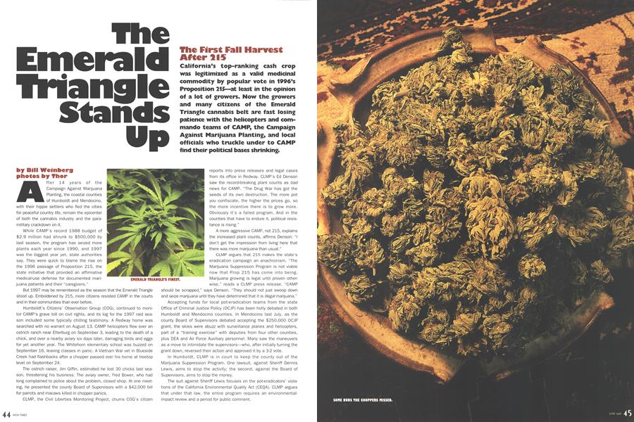 The Emerald Triangle Stands Up