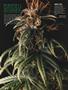 Page: - 80 | High Times