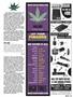 Page: - 99 | High Times