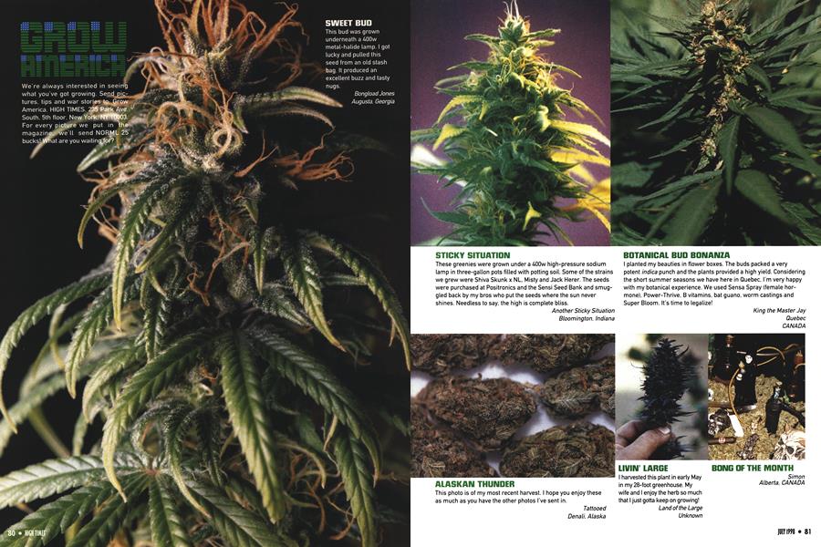 GROW AMERICA