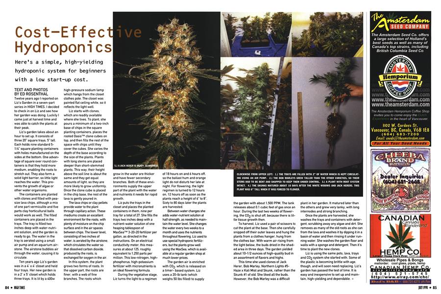 Cost-Effective Hydroponics