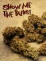 Page: - 54 | High Times