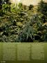 Page: - 84 | High Times