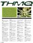 Page: - 90 | High Times