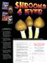 Page: - 93 | High Times