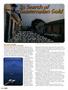 Page: - 46 | High Times