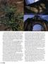Page: - 50 | High Times