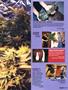 Page: - 79 | High Times