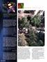 Page: - 80 | High Times