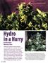 Page: - 84 | High Times