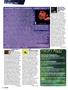 Page: - 14 | High Times