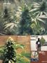 Page: - 79 | High Times