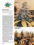 Page: - 92 | High Times