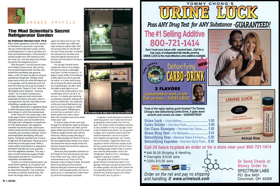 The Mad Scientist’s Secret Refrigerator Garden