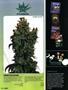 Page: - 102 | High Times