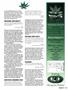 Page: - 105 | High Times