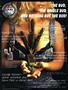 Page: - 3 | High Times