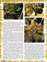 Page: - 52 | High Times
